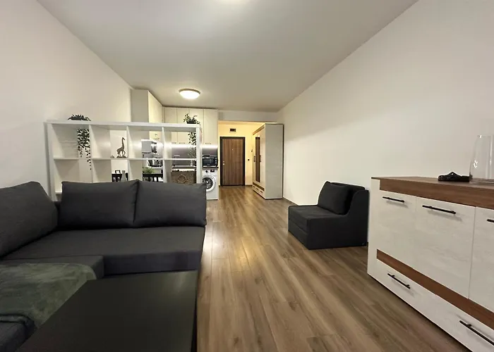 Daire Relaxing In Shartrez *